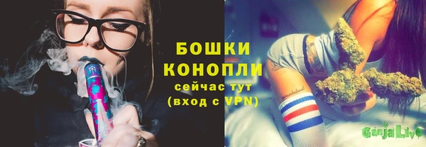 молекула духа Волосово