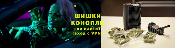 крисы Покачи