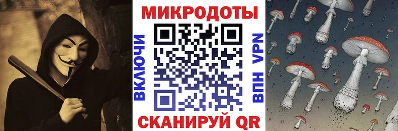 Галлюциногенные грибы Psilocybine cubensis купить цена Омск